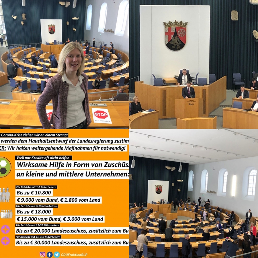 Kleines Parlament