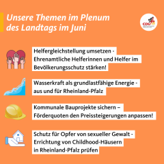 thumb Juni Plenum